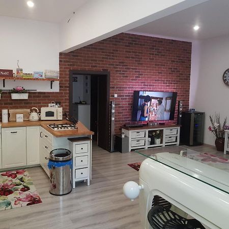 Apartman Karlovy Vary Apartment Ngoại thất bức ảnh