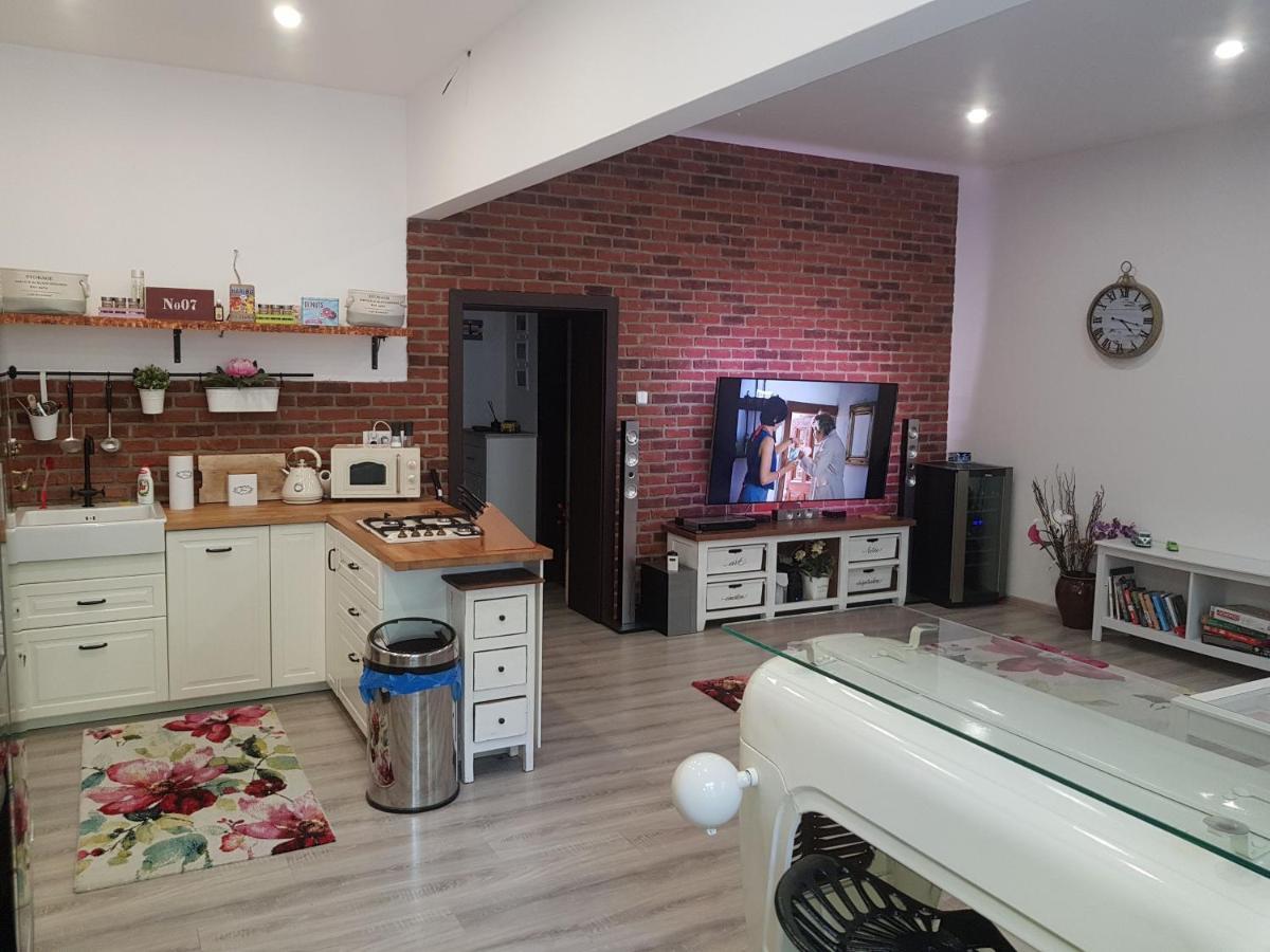Apartman Karlovy Vary Apartment Ngoại thất bức ảnh