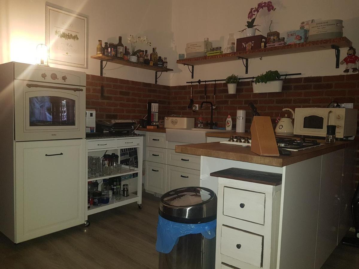 Apartman Karlovy Vary Apartment Ngoại thất bức ảnh
