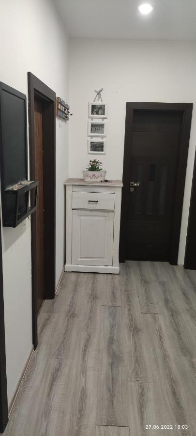 Apartman Karlovy Vary Apartment Ngoại thất bức ảnh
