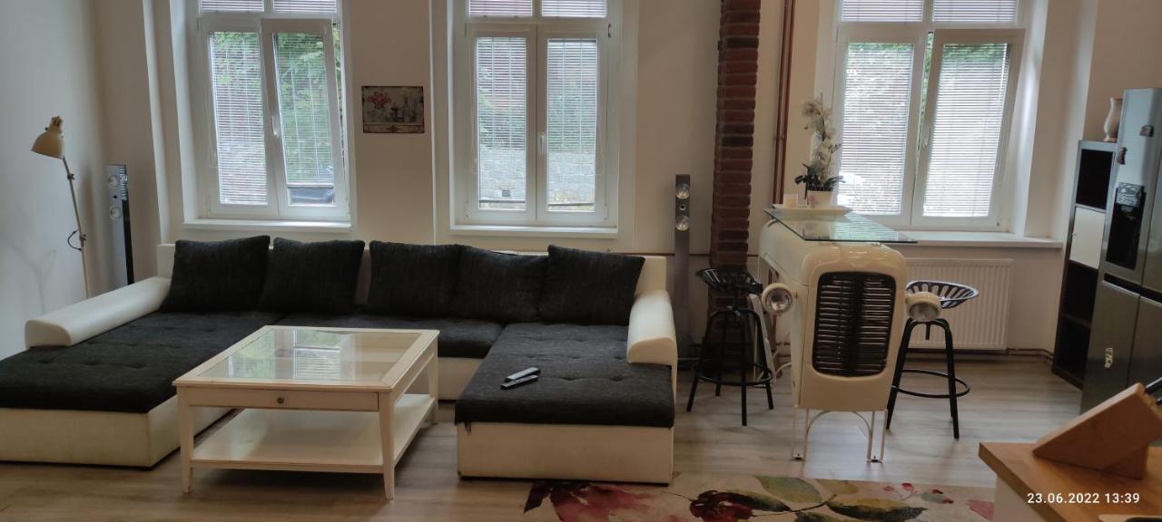 Apartman Karlovy Vary Apartment Ngoại thất bức ảnh