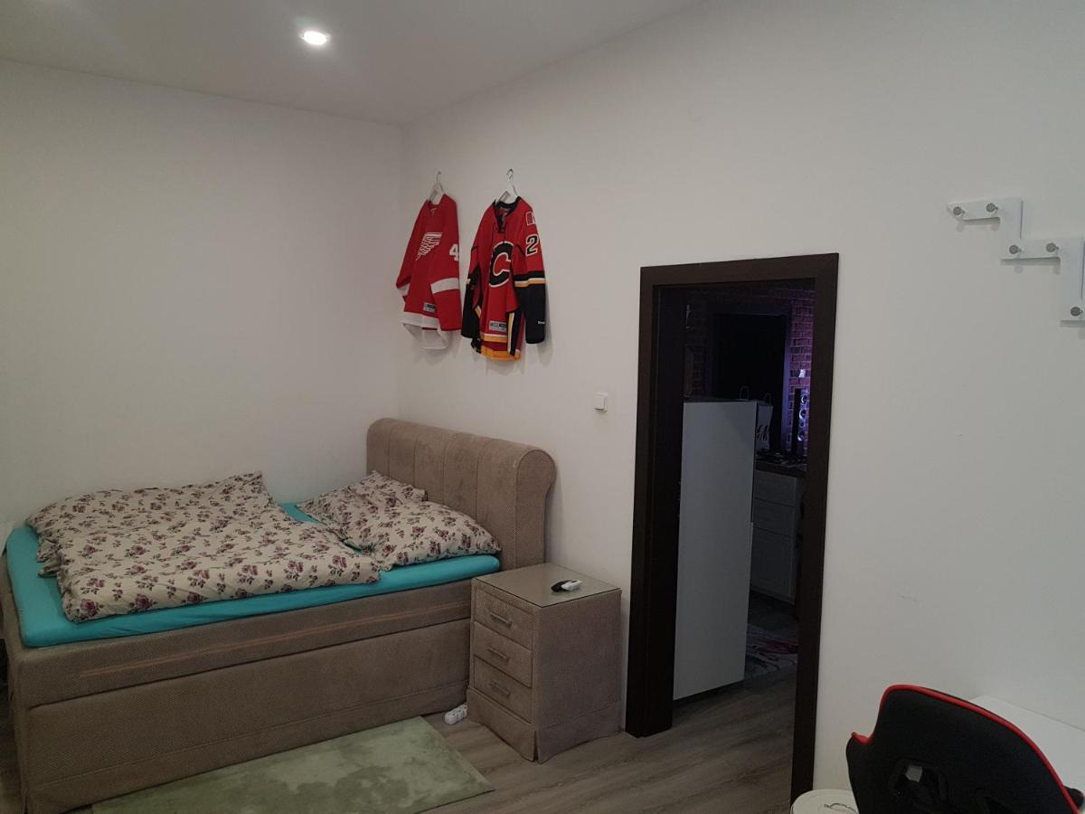 Apartman Karlovy Vary Apartment Ngoại thất bức ảnh